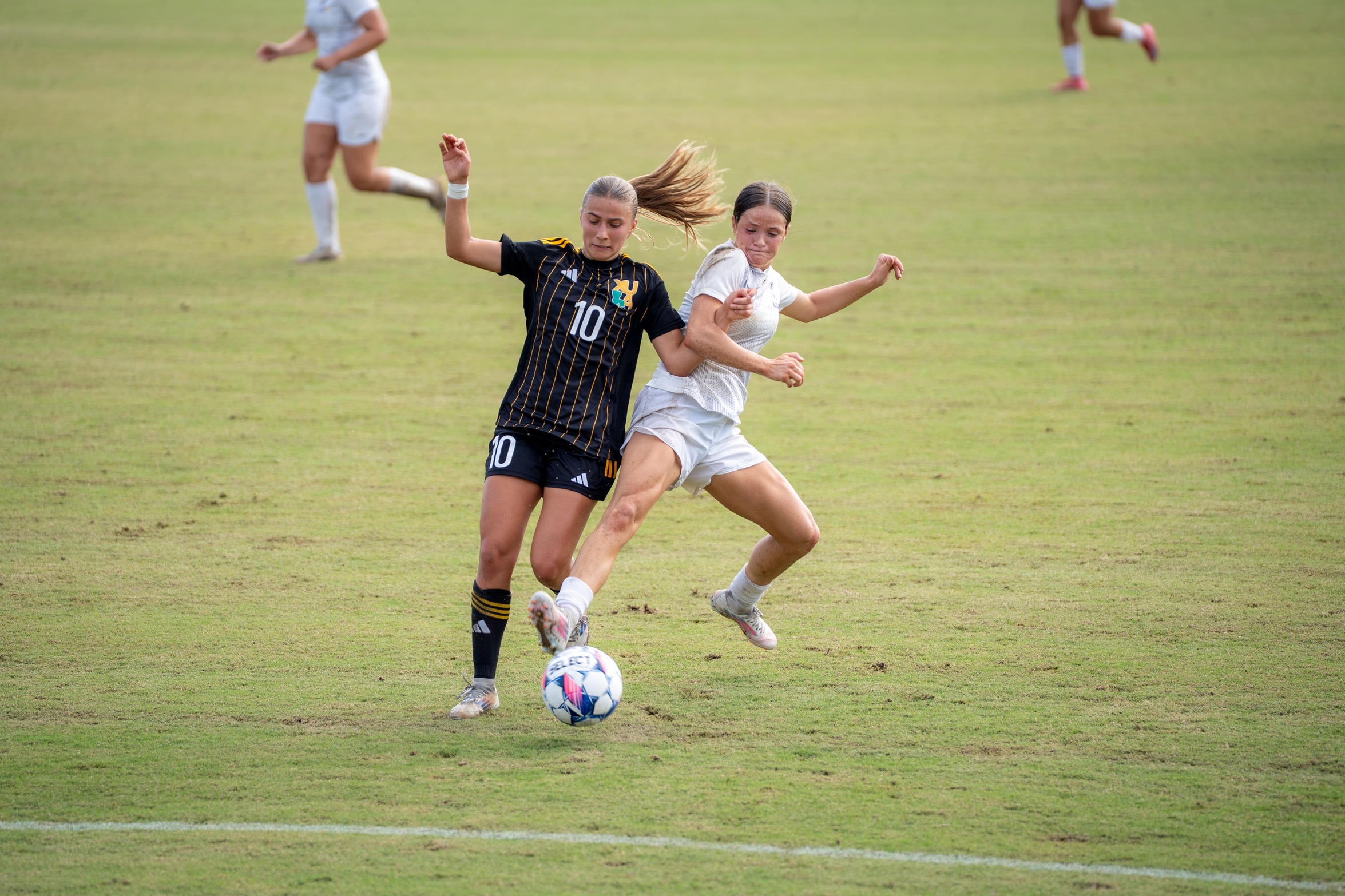 Pilots Fall Short in RRAC Championship Match, 2-0